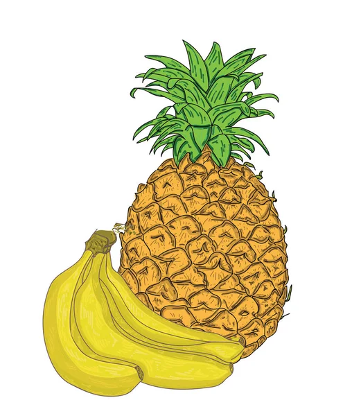 Images vectorielles de bananes et bananes — Image vectorielle