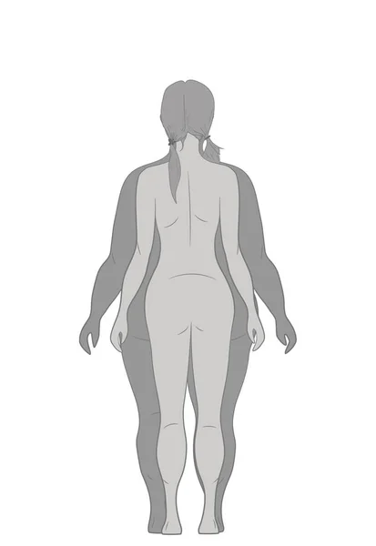 Векторні Ілюстрації Мультиплікаційної Жінки Схуднення Товста Струнка Дівчина Жіноче Тіло — стоковий вектор