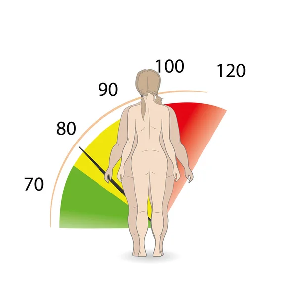 일러스트 슬리밍입니다 소녀입니다 다이어트 여성의 소녀와 여자입니다 스타일 — 스톡 벡터