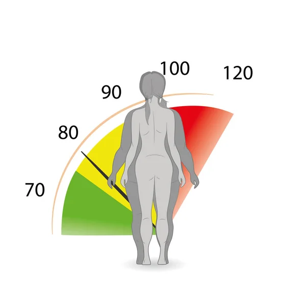 Illustrazione Vettoriale Donna Cartone Animato Dimagrante Ragazza Grassa Magra Corpo — Vettoriale Stock