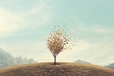 gerçeküstü sonbahar ağaç yapraklar