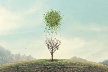 gerçeküstü kavramsal Bahar güneşi 