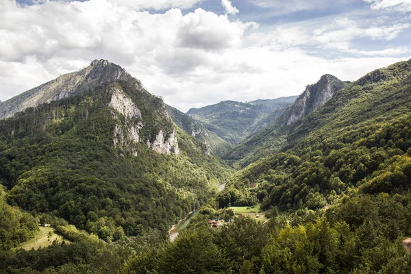 Dağ vadinin görünümü. Dağ nehir ve orman Karadağ