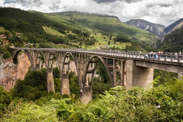 Gamla stora bron i Durdevica och fantastisk utsikt Tara flod ravinen - är den största en kanjon i Europa i nationalparken Durmitor, Montenegro. Balkan. Skönhetsvärlden. Royaltyfria Stockbilder