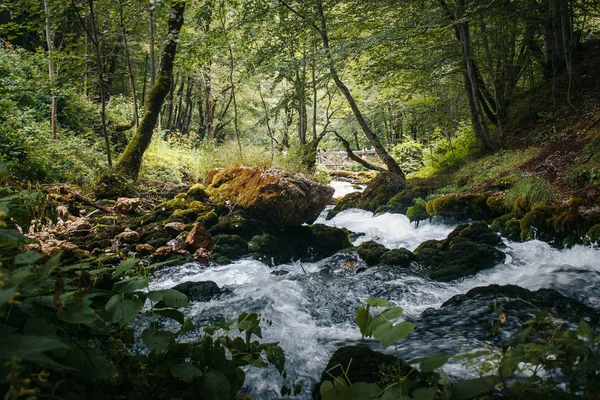 nehir ve şaft ışık demeti. ahşap dağ nehir.