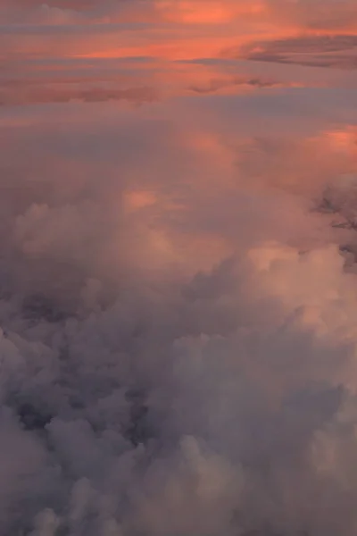 粉红色的云鸟图。早晨的天空. — 图库照片