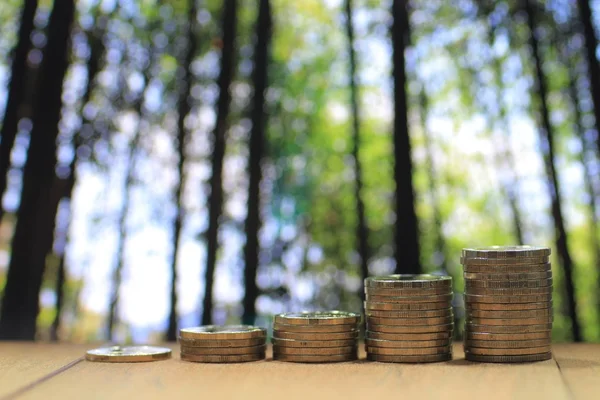 Environmental friendly economy. Finance business of saving nature. Coin pile stacked in increasing chart shape on wood board with out of focus forest of big tall green trees background.