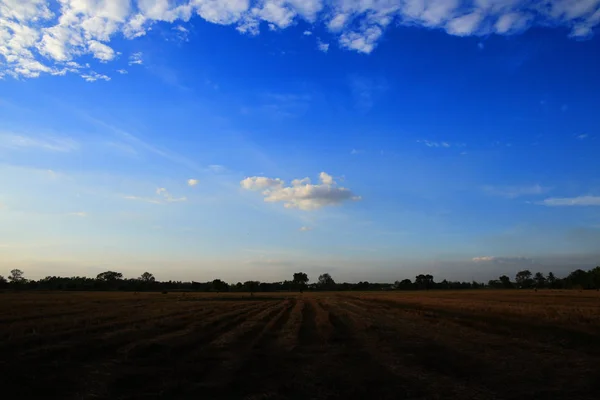 a single cloud in a clear sky scene surrounded by glove of clouds. low hanging cloud over a harvested rice field.