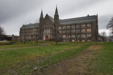 Norveç Üniversitesi bilim ve teknoloji