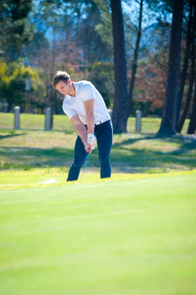 Golfista gry strzał chip na zielono — Zdjęcie stockowe