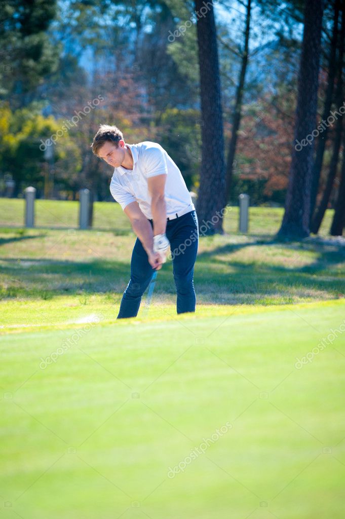 golfer een chip schot op de groene spelen — stockfoto © danedwards