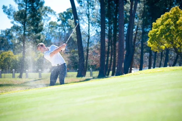 Golfista jugando un tiro chip en el verde — Foto de Stock