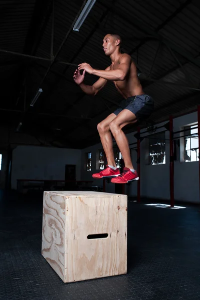 male doing a box jump in a gym