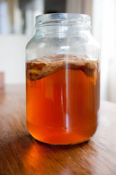 Чайний гриб чай в скляну посудину — стокове фото