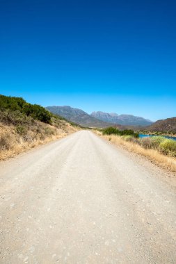 Cederberg bölgesi, Güney Afrika
