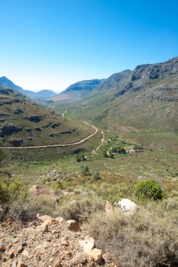 Cederberg bölgesi, Güney Afrika
