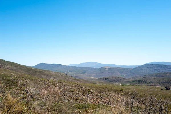 Cederberg bölgesi, Güney Afrika