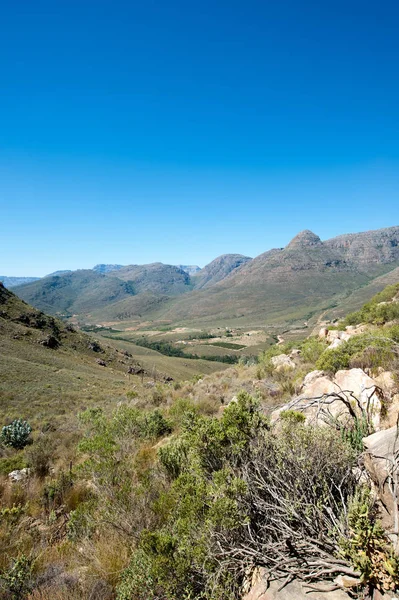 Cederberg Region Jižní Afriky — Stock fotografie