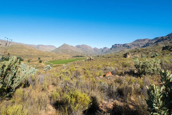 Cederberg Region Jižní Afriky — Stock fotografie
