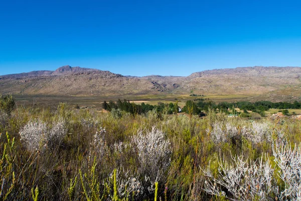 Cederberg régió, a Dél-afrikai Köztársaság — Stock Fotó