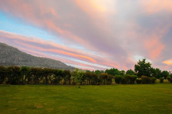 Puesta de sol rosa en un cielo africano — Foto de Stock