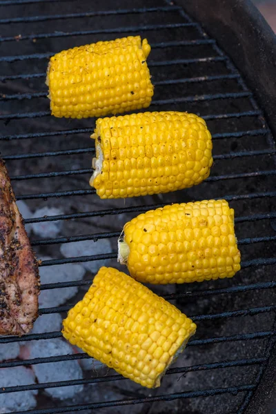 Pork fillets on a barbecue — Stock Photo, Image
