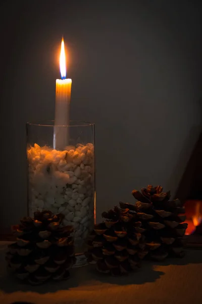 Conos de vino y abeto frente a un fuego — Foto de Stock