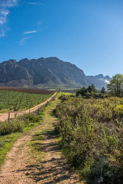 Güney Afrika'da çarpıcı Tulbagh
