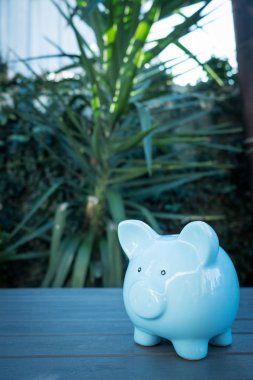 açık havada bir masada piggybank