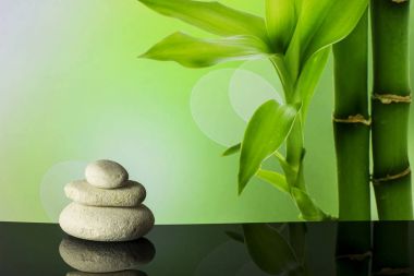 Bambu ile Spa kompozisyon