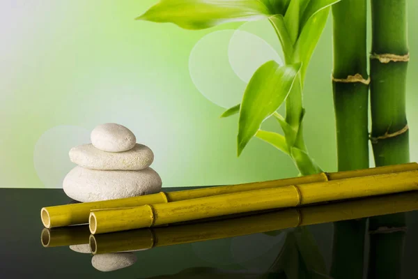 Bambu ile Spa kompozisyon