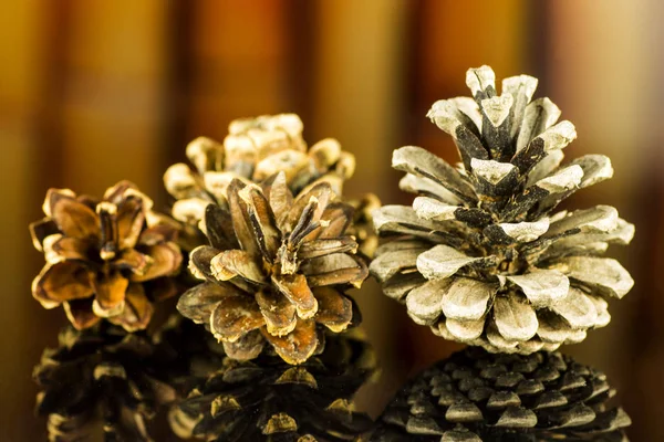 Çam kozalakları arka planı