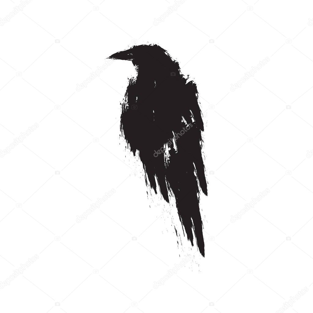 Black raven on a white background.