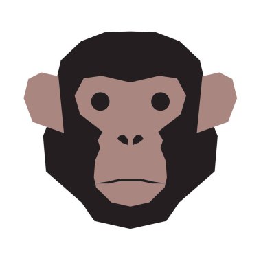 Şempanze baş yüz.