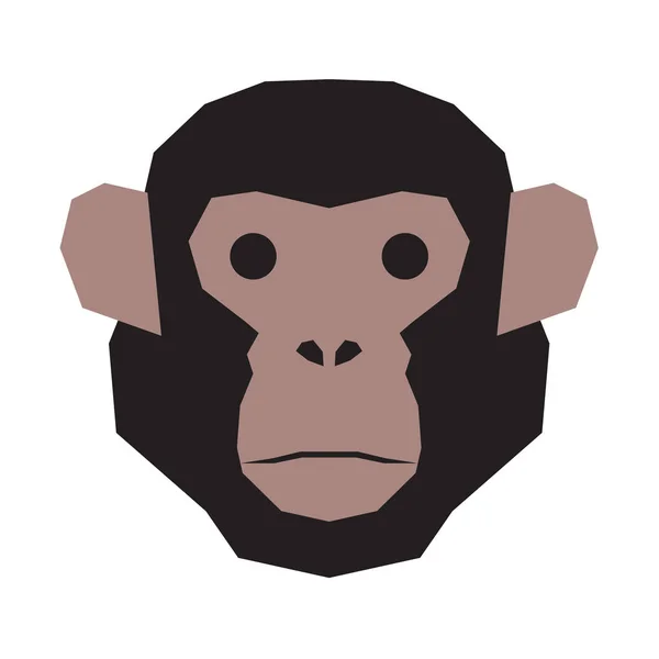 Şempanze baş yüz.