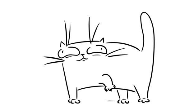Šlapal kočka. Kreslená kočka. — Stock video