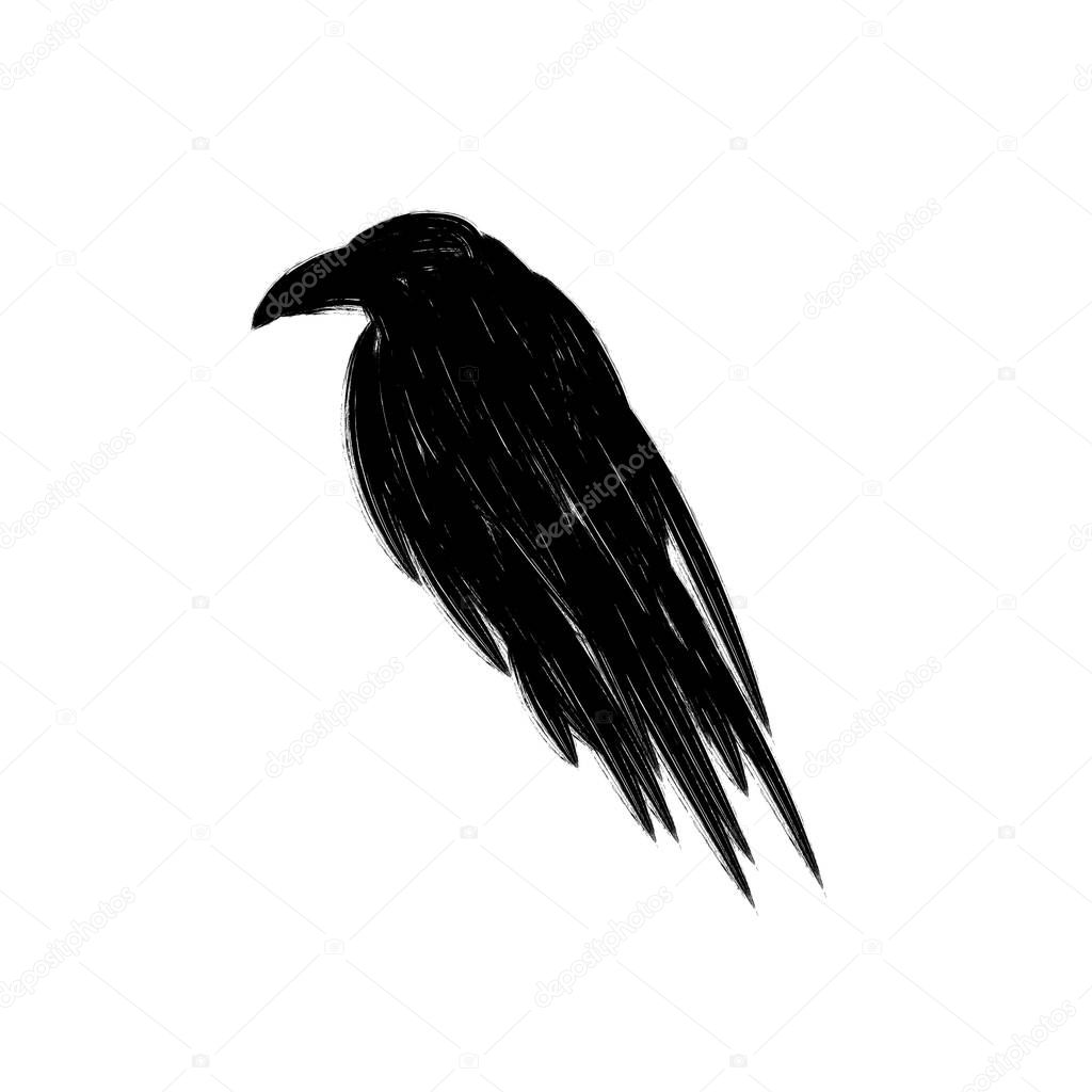 Black raven crow silhouette isolated on a white background.