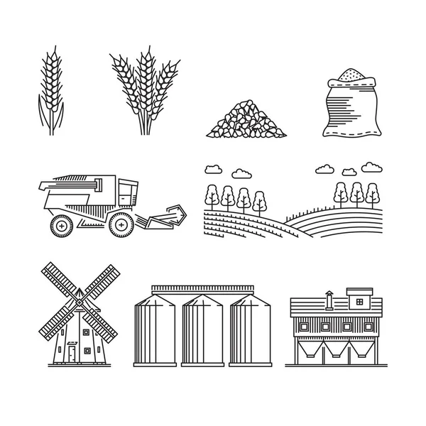 Hububat buğday çavdar büyüyen tarım