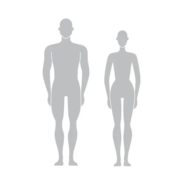 Vektorová figurína silueta. Figurína samec a samice. — Stockový vektor
