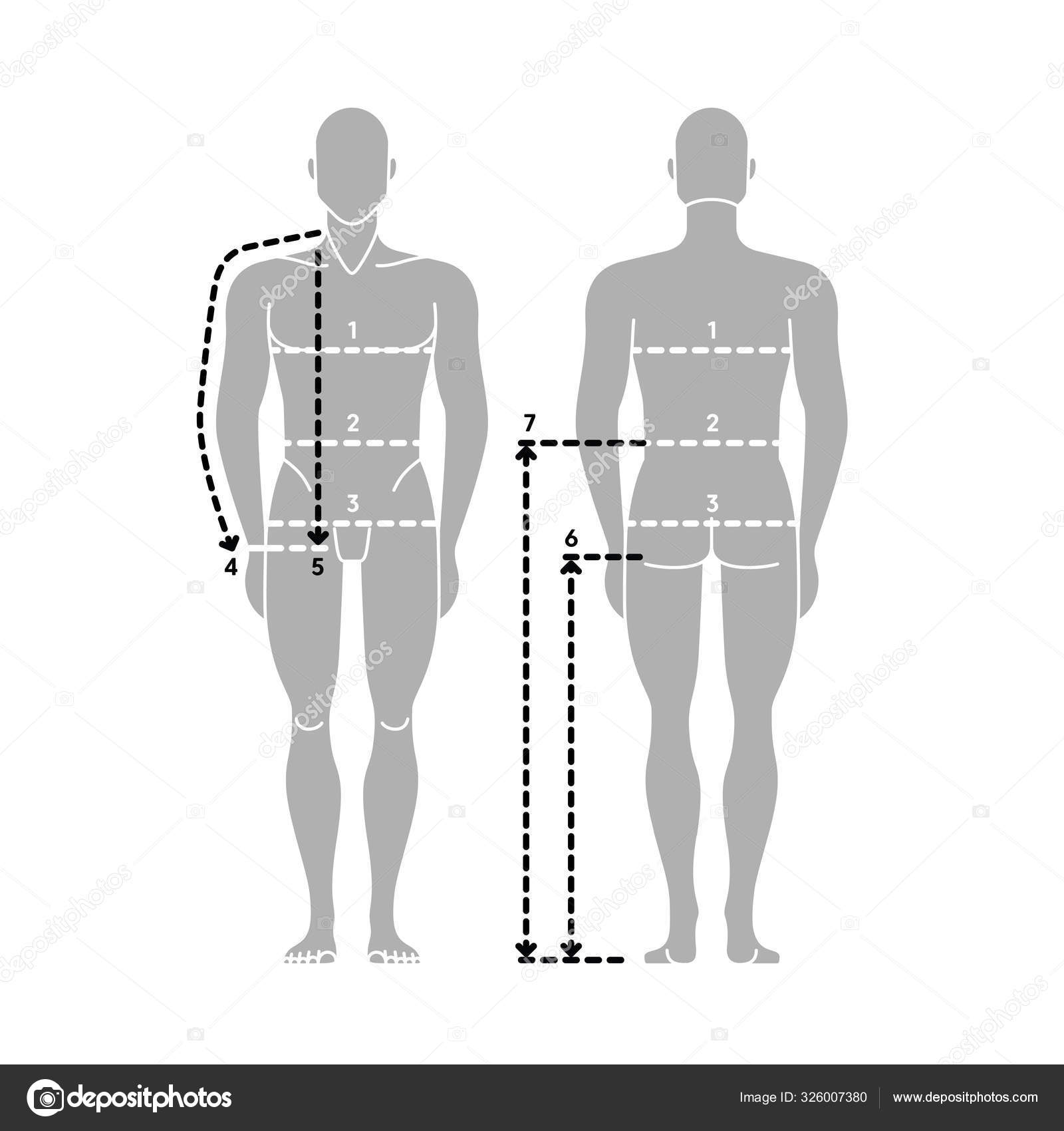 Body Measurement Chart Template from st3.depositphotos.com