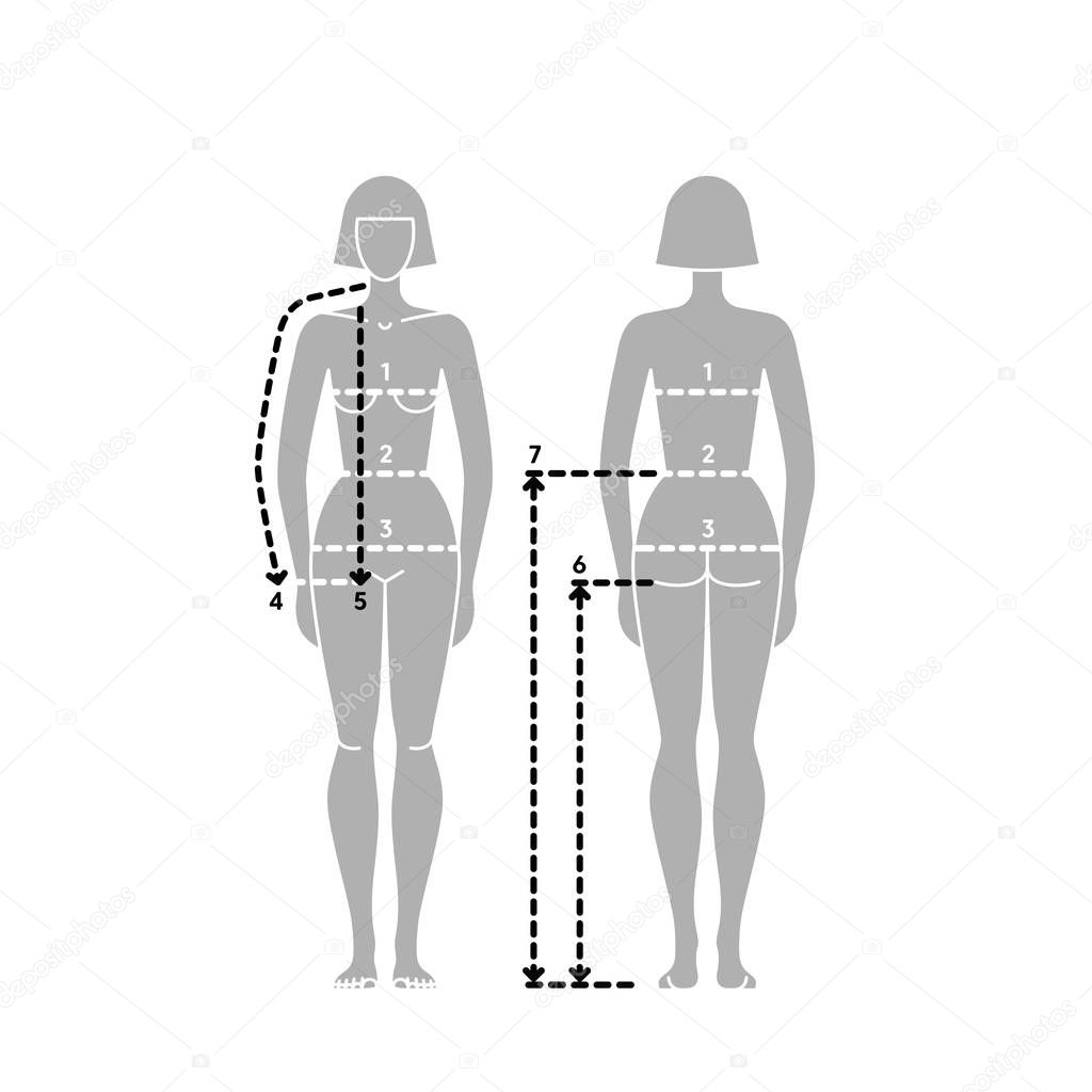 Woman body measurement chart. Taking Measurement illustration.