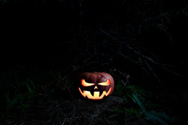 Karanlıkta parlayan e ile ormanda Cadılar Bayramı korkutucu Kabak