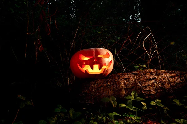 Halloween Abóbora assustadora e assustadora em um log na escuridão com — Fotografia de Stock