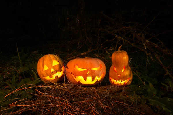 Halloween três abóboras assustador engraçado e assustador na floresta em — Fotografia de Stock