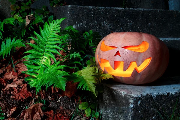 Halloween assustador abóbora na grama com folhas secas e samambaias — Fotografia de Stock