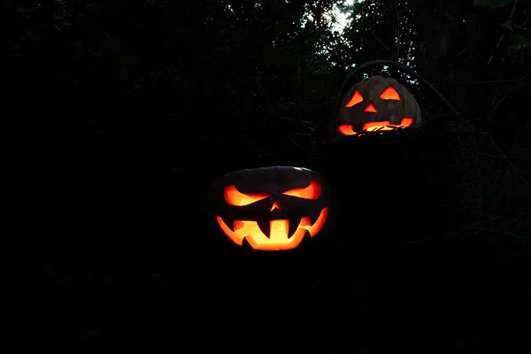 Halloween abóboras assustadoras e engraçadas em um log em uma cesta no d — Fotografia de Stock