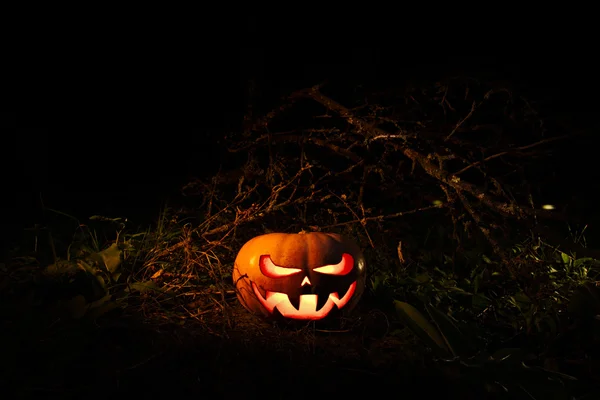 Halloween assustador abóbora na floresta no escuro com brilhante e — Fotografia de Stock