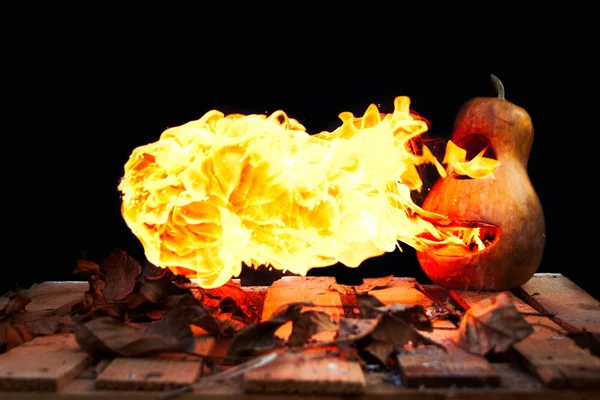 Halloween tök kegyenc okádó tűz a lángok a egy fekete főleg CIG — Stock Fotó