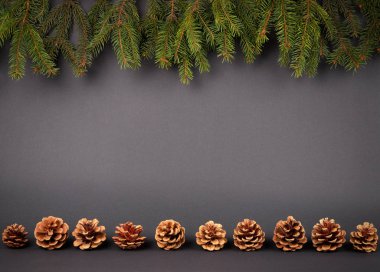 Noel ve yeni yıl dekorasyon arka plan: köknar con dallarında