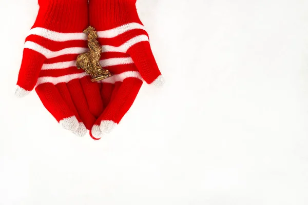 Biglietto di Natale, guanti su mani che tengono il gallo isolato su un wh — Foto Stock